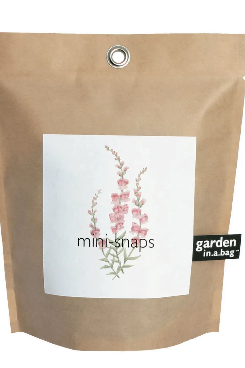 Garden-in-a-bag Snapdragon